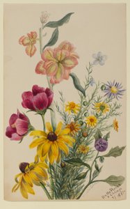 Gruppe af blomster af Mary Vaux Walcott