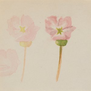 "Mit første maleri" af Mary Vaux Walcott