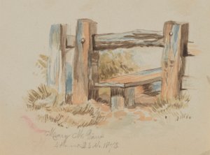 Uden titel (Stile) af Mary Vaux Walcott