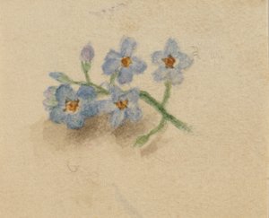 Uden titel, 1874. af Mary Vaux Walcott