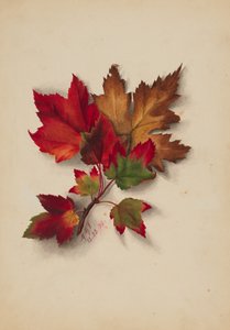 Uden titel efterårsblade, 1874.