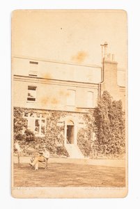 Carte de visite viser fotografi af Gad