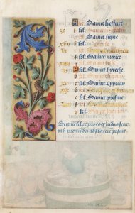 MS Lewis EM 11:22v Blomsterpanel med akantus, pink og larve, fra Louis XII
