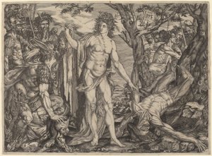 Apollo og Marsyas af Master MF
