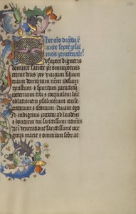Beboet Indledende S