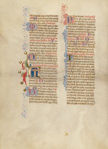 Initial N: Korset