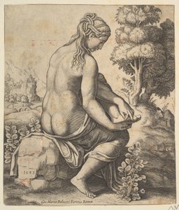 Venus fjerner en torn fra sin fod, 1532.