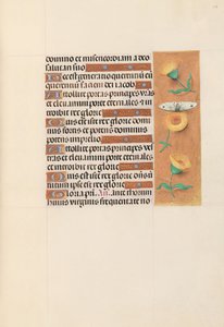 Hours of Dronning Isabella den Katolik, Dronning af Spanien: Fol. 103r, ca. 1500. af Master of the First Prayerbook of Maximillian