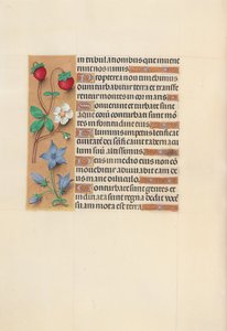 Hours of Dronning Isabella den Katolik, Dronning af Spanien: Fol. 105v, ca. 1500. af Master of the First Prayerbook of Maximillian