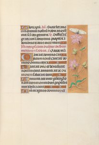 Dronning Isabella den Katolskes timer, dronning af Spanien:  Fol. 107r af Master of the First Prayerbook of Maximillian