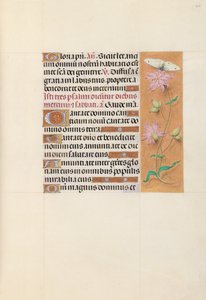 Hours of Dronning Isabella den Katolik, Dronning af Spanien: Fol. 107r, ca. 1500. af Master of the First Prayerbook of Maximillian