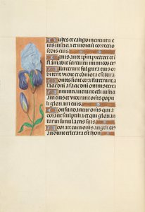 Hours of Dronning Isabella den Katolik, Dronning af Spanien: Fol. 108v, ca. 1500. af Master of the First Prayerbook of Maximillian