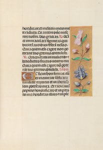 Hours of Dronning Isabella den Katolik, Dronning af Spanien: Fol. 111r, ca. 1500. af Master of the First Prayerbook of Maximillian