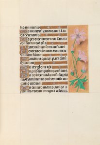 Hours of Dronning Isabella den Katolik, Dronning af Spanien: Fol. 113r, ca. 1500. af Master of the First Prayerbook of Maximillian