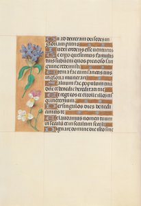 Hours of Dronning Isabella den Katolik, Dronning af Spanien: Fol. 113v, ca. 1500. af Master of the First Prayerbook of Maximillian