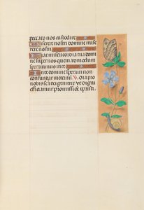 Hours of Dronning Isabella den Katolik, Dronning af Spanien: Fol. 114r, ca. 1500. af Master of the First Prayerbook of Maximillian