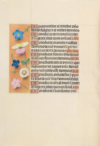 Hours of Dronning Isabella den Katolik, Dronning af Spanien: Fol. 119v, ca. 1500. af Master of the First Prayerbook of Maximillian