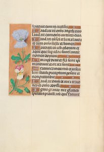 Dronning Isabella den Katolskes timer, dronning af Spanien:  Fol. 120v af Master of the First Prayerbook of Maximillian