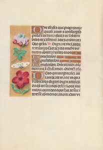 Hours of Dronning Isabella den Katolik, Dronning af Spanien: Fol. 129v, ca. 1500. af Master of the First Prayerbook of Maximillian