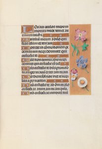 Hours of Dronning Isabella den Katolik, Dronning af Spanien: Fol. 133r, ca. 1500. af Master of the First Prayerbook of Maximillian
