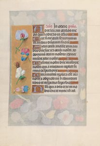Hours of Dronning Isabella den Katolik, Dronning af Spanien: Fol. 137v, ca. 1500. af Master of the First Prayerbook of Maximillian