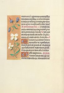 Hours of Dronning Isabella den Katolik, Dronning af Spanien: Fol. 139v, ca. 1500. af Master of the First Prayerbook of Maximillian