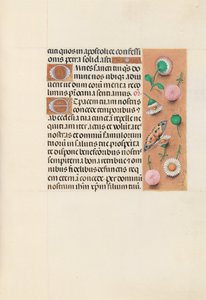 Hours of Dronning Isabella den Katolik, Dronning af Spanien: Fol. 145r, ca. 1500. af Master of the First Prayerbook of Maximillian