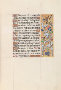 Dronning Isabella den katolske, dronning af Spaniens åbningstider: Fol. 148r, ca. 1500. af Master of the First Prayerbook of Maximillian
