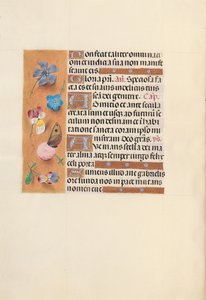 Hours of Dronning Isabella den Katolik, Dronning af Spanien: Fol. 150V, ca. 1500. af Master of the First Prayerbook of Maximillian