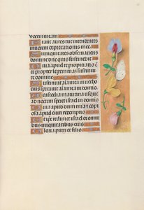 Hours of Dronning Isabella den Katolik, Dronning af Spanien: Fol. 156r, ca. 1500. af Master of the First Prayerbook of Maximillian