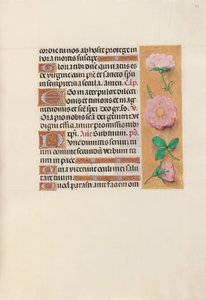 Hours of Dronning Isabella den Katolik, Dronning af Spanien: Fol. 157r, ca. 1500. af Master of the First Prayerbook of Maximillian