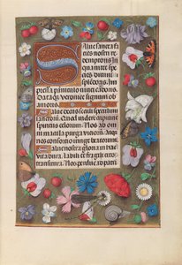 Hours of Dronning Isabella den Katolik, Dronning af Spanien: Fol. 15r, c. 1500. af Master of the First Prayerbook of Maximillian