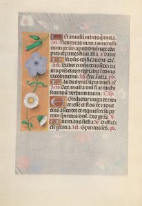 Hours of Dronning Isabella den Katolik, Dronning af Spanien: Fol. 160V, ca. 1500. af Master of the First Prayerbook of Maximillian
