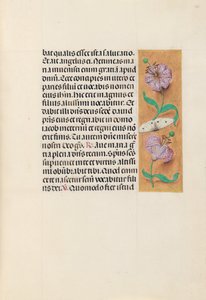 Hours of Dronning Isabella den Katolik, Dronning af Spanien: Fol. 163r, ca. 1500.