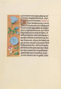 Dronning Isabella den katolske, dronning af Spaniens åbningstider: Fol. 163v, ca. 1500. af Master of the First Prayerbook of Maximillian