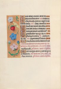 Hours of Dronning Isabella den Katolik, Dronning af Spanien: Fol. 164v, ca. 1500.