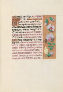Hours of Dronning Isabella den Katolik, Dronning af Spanien: Fol. 165r, ca. 1500. af Master of the First Prayerbook of Maximillian