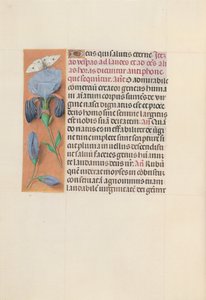 Hours of Dronning Isabella den Katolik, Dronning af Spanien: Fol. 165v, ca. 1500. af Master of the First Prayerbook of Maximillian