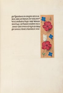 Hours of Dronning Isabella den Katolik, Dronning af Spanien: Fol. 16r, c. 1500. af Master of the First Prayerbook of Maximillian