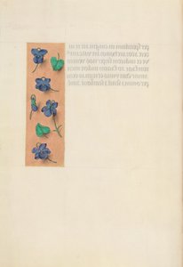 Hours of Dronning Isabella den Katolik, Dronning af Spanien: Fol. 16v, kort kant, ca. 1500. af Master of the First Prayerbook of Maximillian