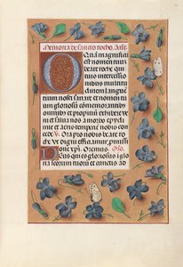 Hours of Dronning Isabella den Katolik, Dronning af Spanien: Fol. 182r, ca. 1500. af Master of the First Prayerbook of Maximillian