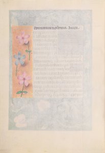 Hours of Queen Isabella the Catholic, Queen of Spain: Fol. 194v, c. 1500.  af Master of the First Prayerbook of Maximillian