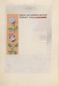 Hours of Dronning Isabella den Katolik, Dronning af Spanien: Fol. 196v, ca. 1500. af Master of the First Prayerbook of Maximillian