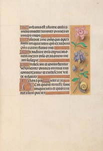 Hours of Dronning Isabella den Katolik, Dronning af Spanien: Fol. 201r, ca. 1500. af Master of the First Prayerbook of Maximillian
