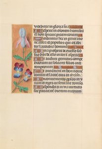 Hours of Dronning Isabella den Katolik, Dronning af Spanien: Fol. 207v, ca. 1500. af Master of the First Prayerbook of Maximillian
