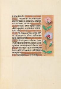 Hours of Dronning Isabella den Katolik, Dronning af Spanien: Fol. 208r, ca. 1500. af Master of the First Prayerbook of Maximillian