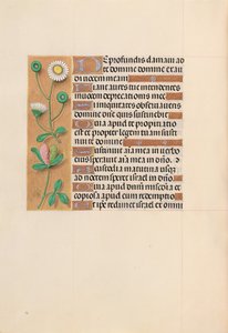 Hours of Dronning Isabella den Katolik, Dronning af Spanien: Fol. 208v, ca. 1500. af Master of the First Prayerbook of Maximillian