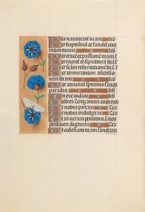 Hours of Dronning Isabella den Katolik, Dronning af Spanien: Fol. 213v, ca. 1500. af Master of the First Prayerbook of Maximillian