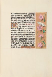 Hours of Dronning Isabella den Katolik, Dronning af Spanien: Fol. 21r, c. 1500. af Master of the First Prayerbook of Maximillian