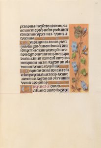 Dronning Isabella den katolske, dronning af Spaniens åbningstider: Fol. 227r, ca. 1500. af Master of the First Prayerbook of Maximillian